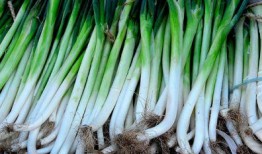 洋大葱 洗澡在线观看,一场别开生面的网络奇遇