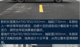 瑞豹最新款爆料车多少钱,售价突破XX万元，性能与颜值并存！
